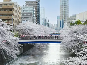 目黒区の街並み