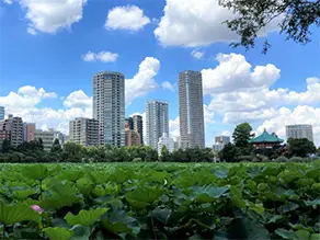 台東区の街並み