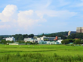 座間市の街並み