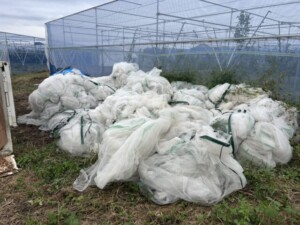 かすみがうら市農業用ネット回収
