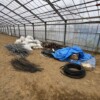 船橋市ビニールハウス廃材回収