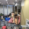 横浜市中区の店舗リフォーム現場で、室内に集積された袋詰めの廃材やダンボールなど